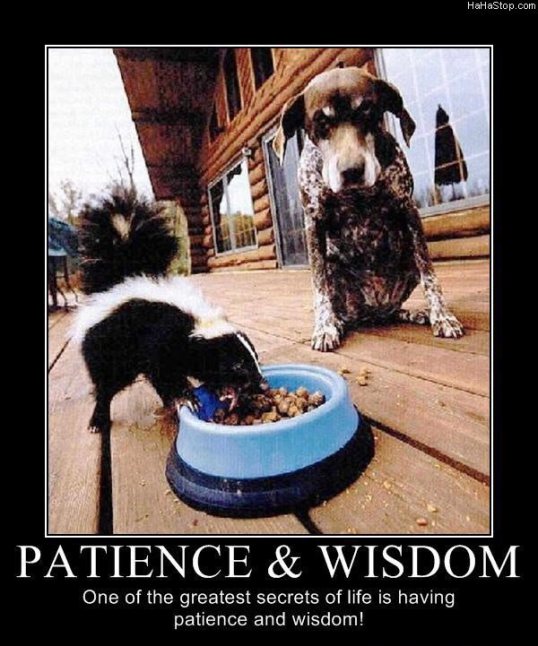 patience-and-wisdom